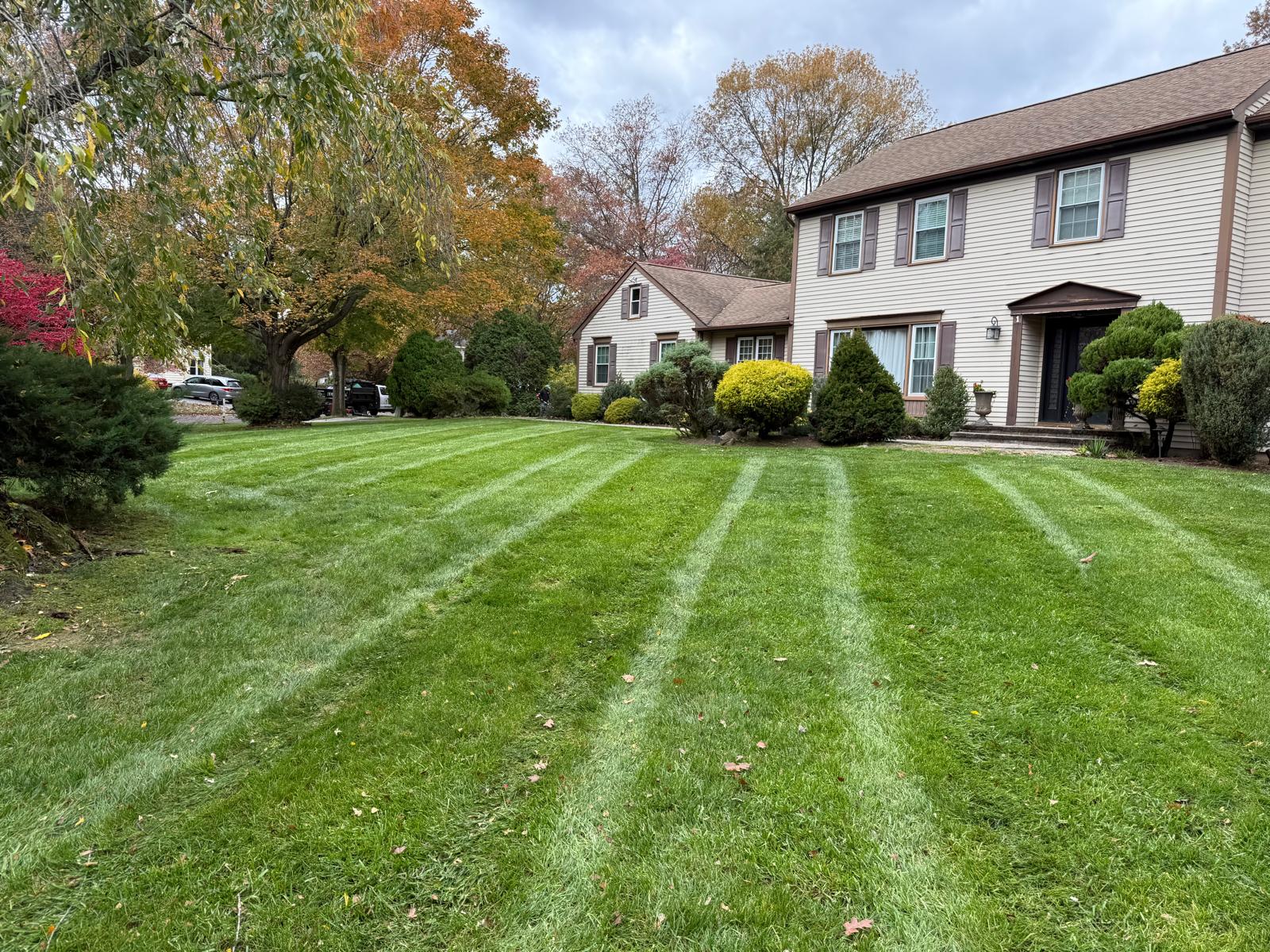 Lawn Care