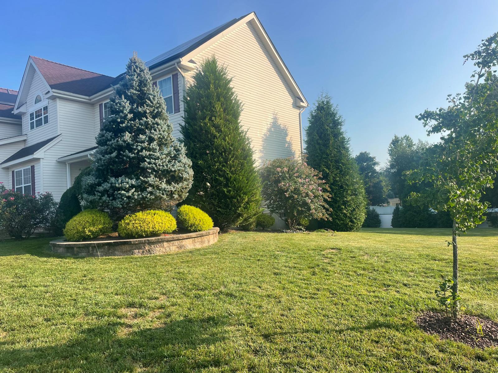Tree and shrub care