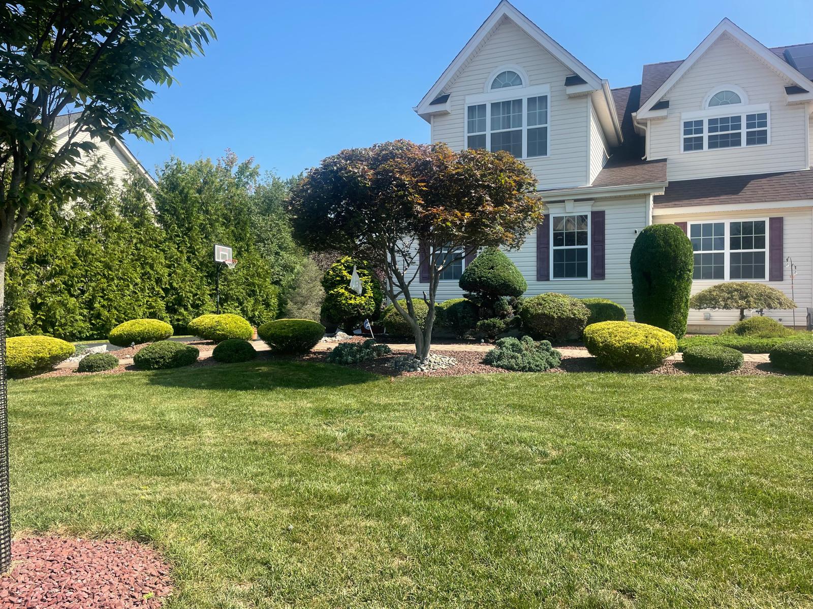 Plant & Tree Care