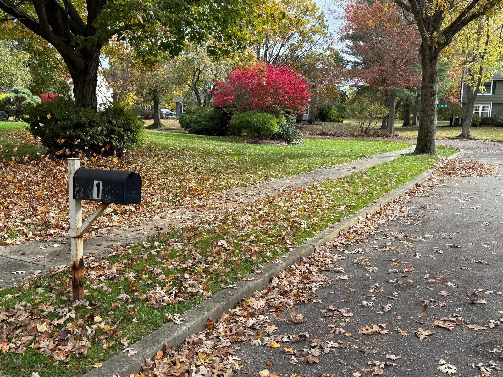 Fall cleanup β mailbox with autumn leaves and red maple