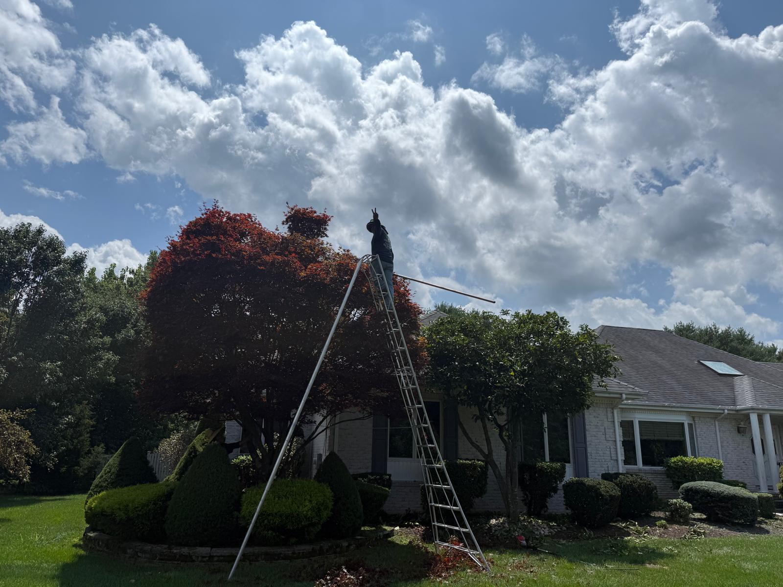Crew mulching a planting bed near a pool and topiary