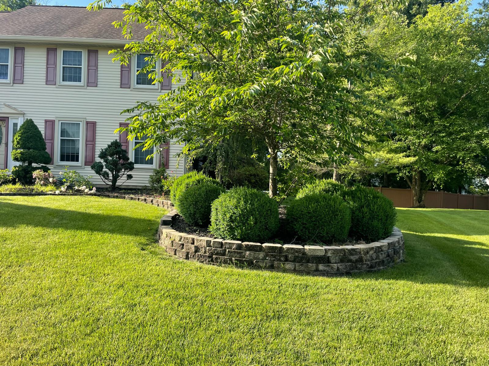 Round stone retaining-wall planter with boxwood and an ornamental tree